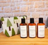 Fortifying (Rosemary & Mint) Hair Care Set